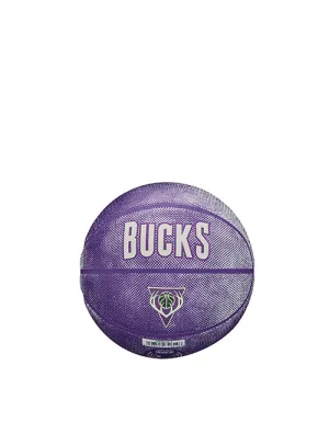 Wilson HWC '93 Milwaukee Bucks Mini Basketball
